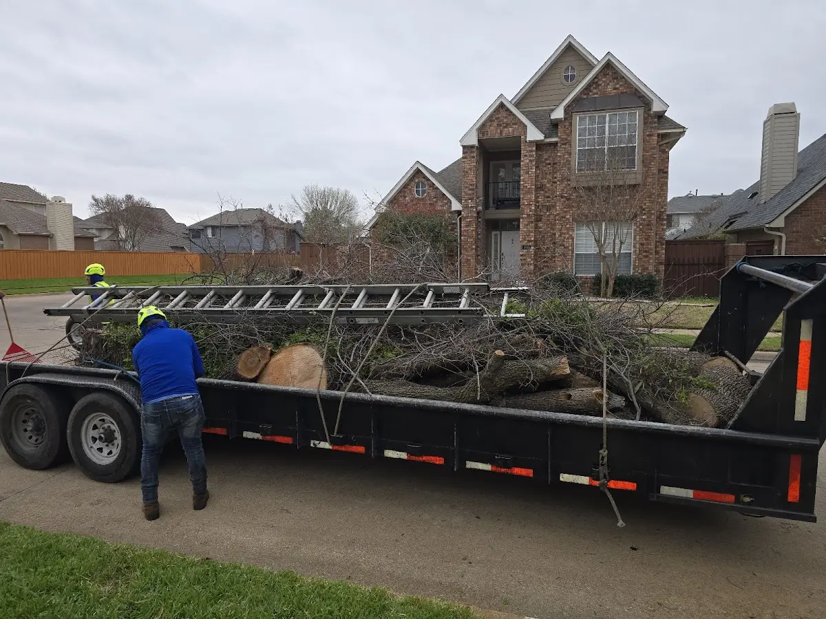 Expert Lot Clearing with proper safety equipment in Gorin